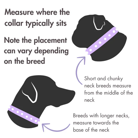 Measure_where_the_collar_typically_sits_480x480.webp